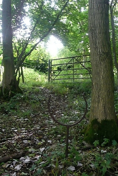 Photo 6"x4" Woodland artefact Tangley c2008