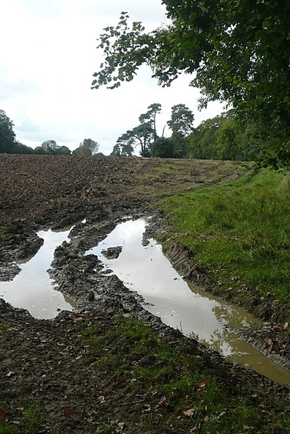 Photo 6"x4" County boundary Tangley c2008