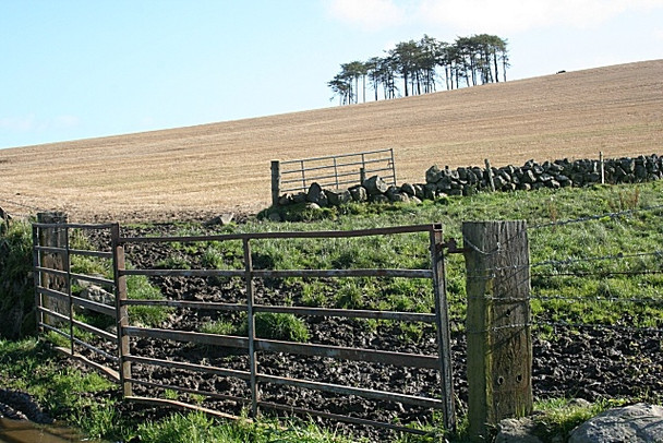 Photo 6"x4" Red Hill from Corskellie Milltown of Rothiemay c2008