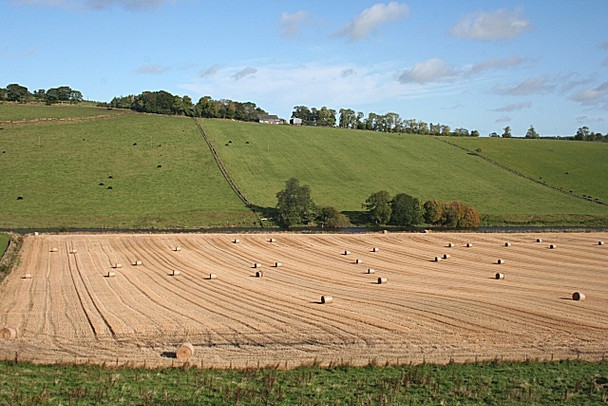 Photo 6"x4" Mains of Mayen Bogniebrae c2008