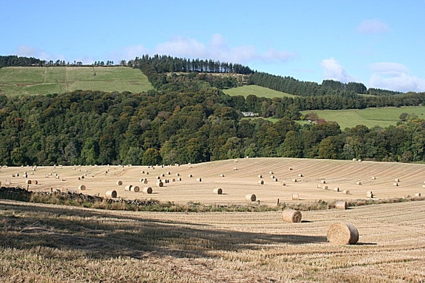 Photo 6"x4" Near Turtory Marnoch c2008