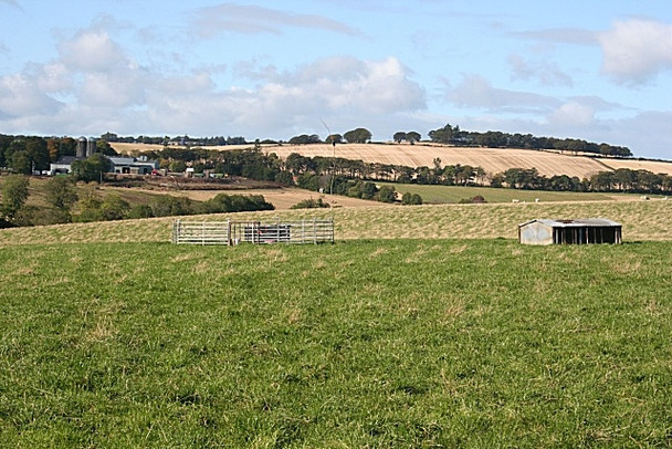 Photo 6"x4" Looking Towards Auldtown of Carnousie Bogton\/NJ6751 c2008