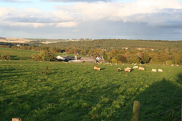 Photo 6"x4" Mid Haddo Fyvie c2008
