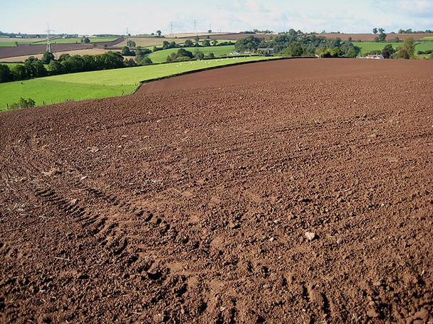 Photo 6"x4" Arable and pasture towards Trereece Llangarron c2008