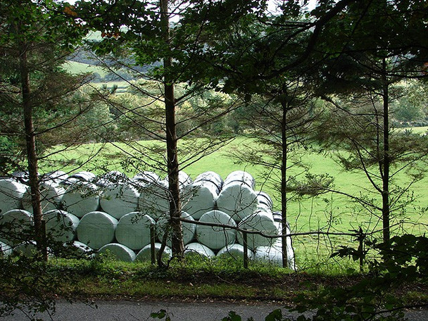 Photo 6"x4" Bales Viewed From Pant Da Woods Nantyronen Station c2008