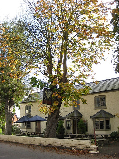 Photo 6"x4" New Harp Inn Hoarwithy c2008