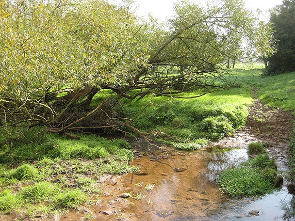 Photo 6"x4" Unnamed brook about to join the Wye Hoarwithy c2008