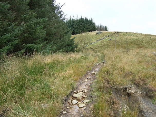 Photo 6"x4" Footpath at Mynydd Blaenrhondda Blaenrhondda c2008