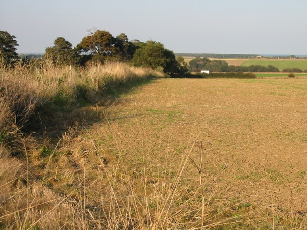 Photo 6"x4" View NE across the fields from Northbourne Road Great Mongeham c2008