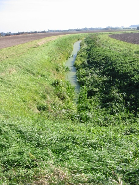 Photo 6"x4" Looking E along a ditch from footpath along the Great Stour Wall End\/TR2363 c2008