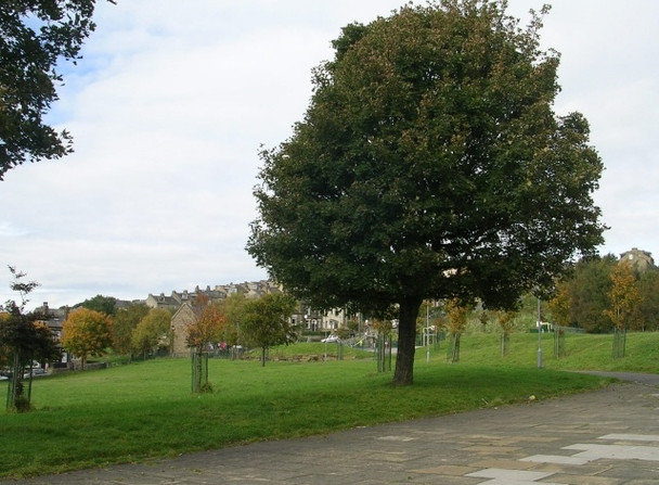 Photo 6"x4" Beech Grove Park - Palmer Road Bradford\/SE1632 c2008
