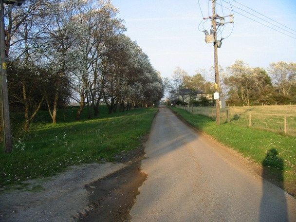 Photo 6"x4" View along the road to New Downs Farm Sandwich c2008