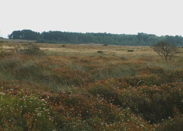Photo 6"x4" Goonhilly Downs Traboe c2008