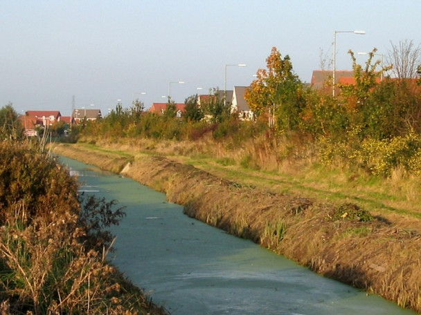 Photo 6"x4" Nature reserve alongside Homberg Way Bridgwater c2008