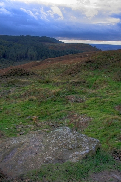 Photo 6"x4" Boulder and Disused Quarry, Great Ayton Moor Hutton Village c2008