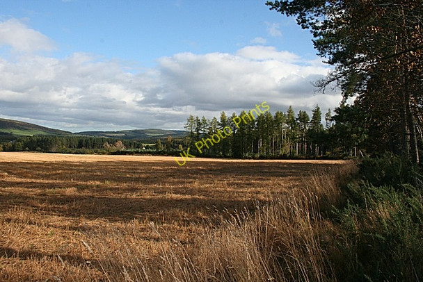 Photo 6"x4" Near Blackhills Woodside\/NJ0555 c2008 P1