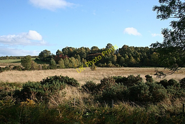 Photo 6"x4" Near Damhead Moor of Granary c2008