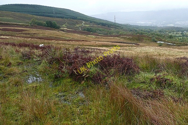 Photo 6"x4" South-western slope of Mynydd Aberdare Aberdare\/Aberdar c2008