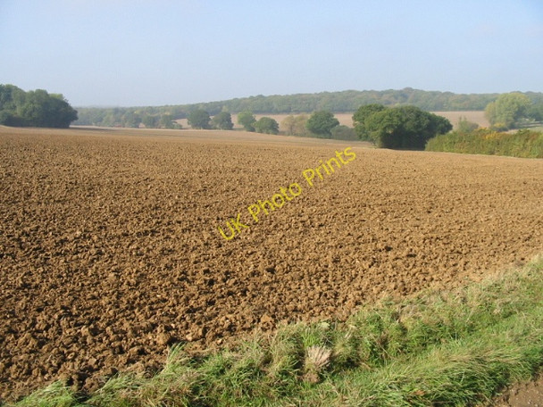 Photo 6"x4" Looking W across fields near Mayton Farm Broad Oak\/TR1661 c2008