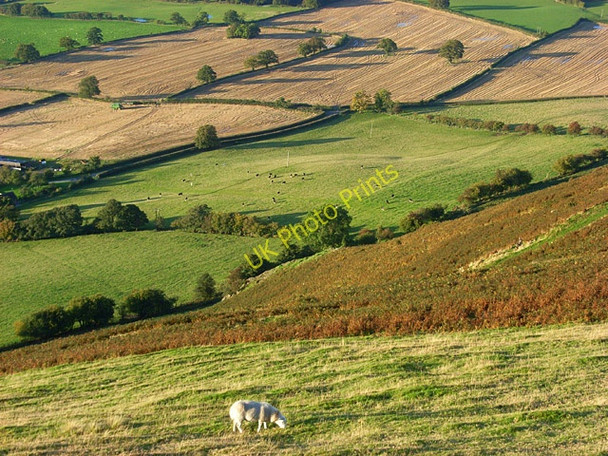 Photo 6"x4" Slopes of Caer Caradoc All Stretton c2008