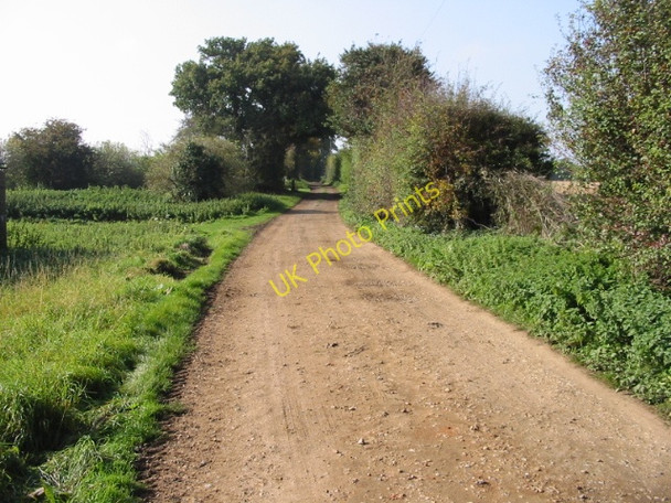 Photo 6"x4" Bridleway from Mayton Lane towards Hackington Road Broad Oak\/TR1661 c2008