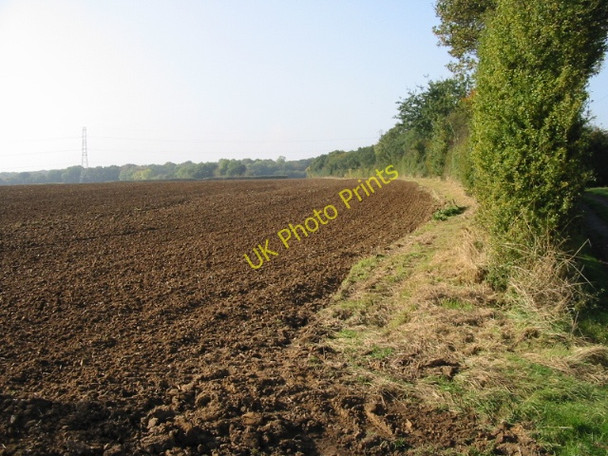 Photo 6"x4" Field boundary and hedgerow Broad Oak\/TR1661 c2008