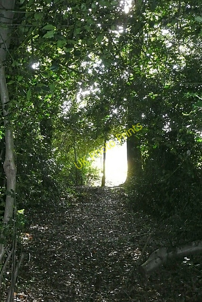 Photo 6"x4" Leaving Berinshill Wood Well Place c2008