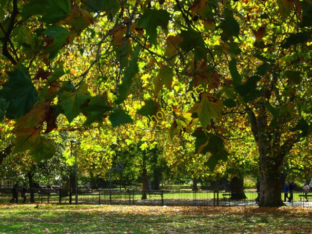 Photo 6"x4" Kennington Park Westminster c2008