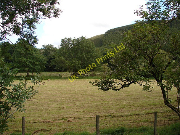 Photo 6"x4" Recently cut field Pandy\/SH9004 c2007