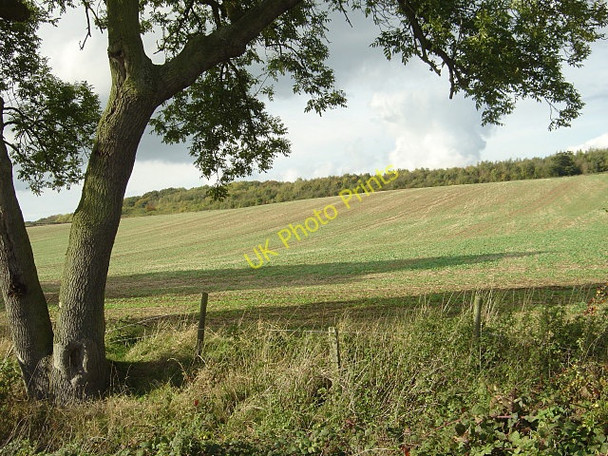 Photo 6"x4" Landscape near Lowdham Lambley\/SK6345 c2008