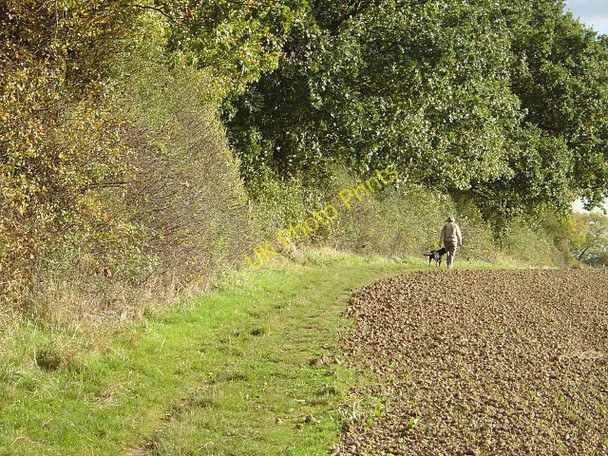 Photo 6"x4" Footpath alongside Ploughman Wood Lambley\/SK6345 c2008