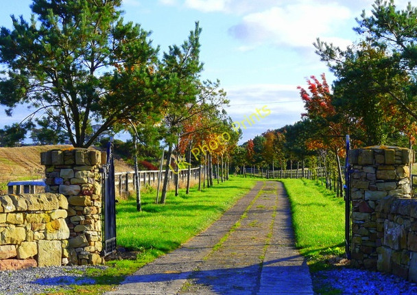 Photo 6"x4" Entrance to Meikle Tarrel Farm Toulvaddie c2008