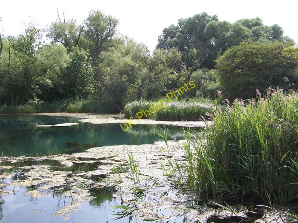 Photo 6"x4" Tetney Blow Well North End\/TA3101 c2005