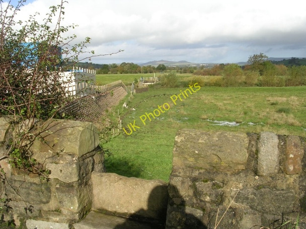 Photo 6"x4" Footpath - Cononley Lane Aire View c2008