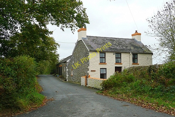 Photo 6"x4" Black Lion Court Henry c2008
