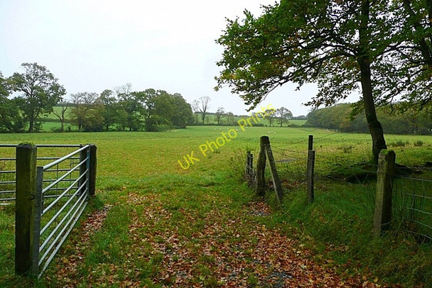 Photo 6"x4" Field at Pant-y-clai Pentrefelin\/SN5923 c2008