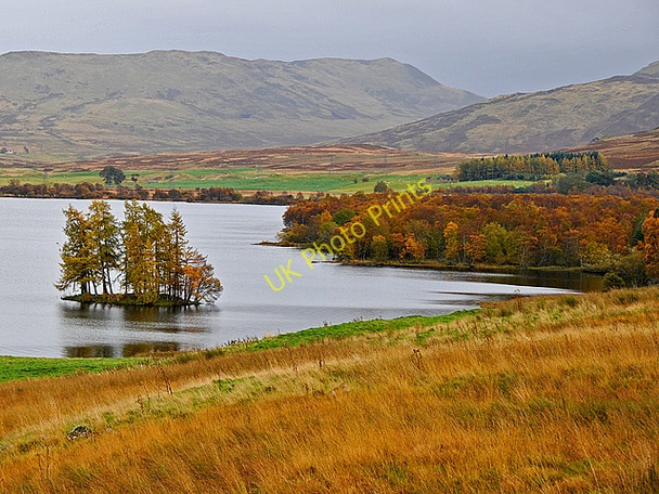 Photo 6"x4" Autumn colours at Loch Freuchie Amulree c2008