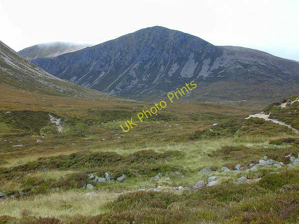 Photo 6"x4" Glen Derry Derry Burn c2002