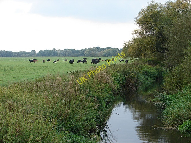 Photo 6"x4" Alconbury Brook Godmanchester c2008