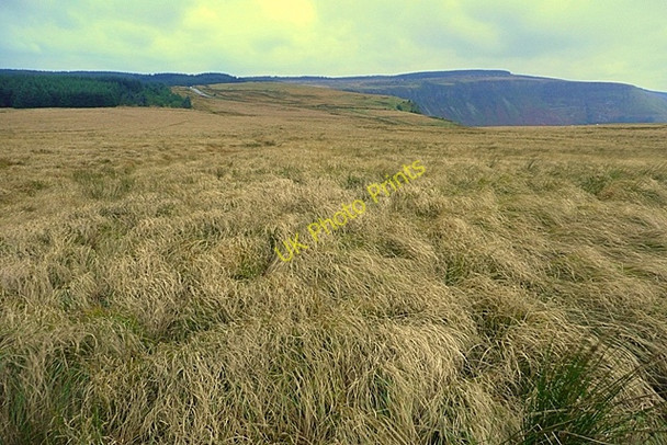 Photo 6"x4" Hirwaun Common Bryn\/SN9205 c2008