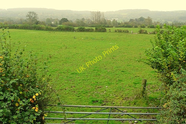 Photo 6"x4" Afon Tywi flood plain Cilsan c2008