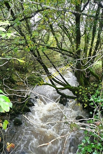 Photo 6"x4" Afon Myddfi at Glandwr Cilsan c2008