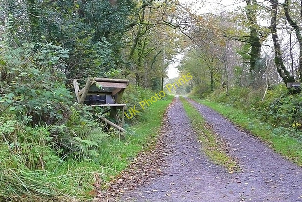 Photo 6"x4" Footpath to Capel Isaac Capel Issac c2008