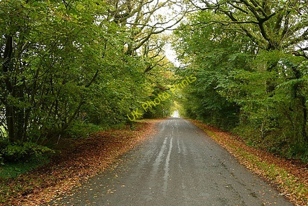 Photo 6"x4" Lane to Capel Isaac Capel Issac c2008