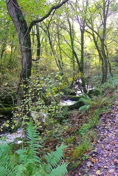 Photo 6"x4" Melin Court Brook Melincourt c2008