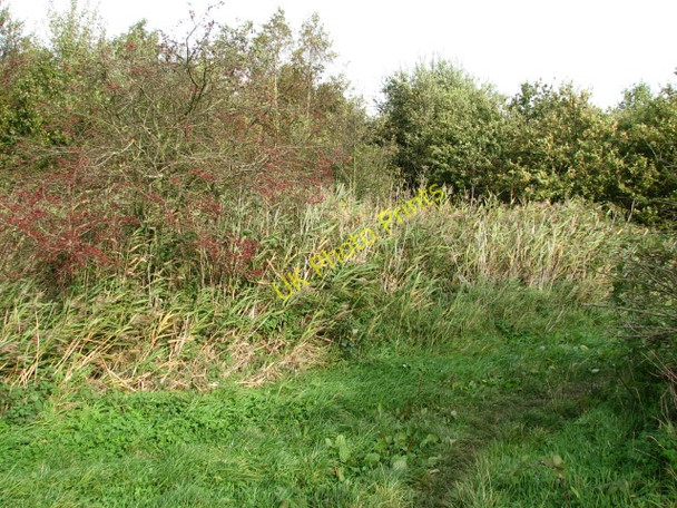 Photo 6"x4" Heading north towards the car park North Walsham c2008