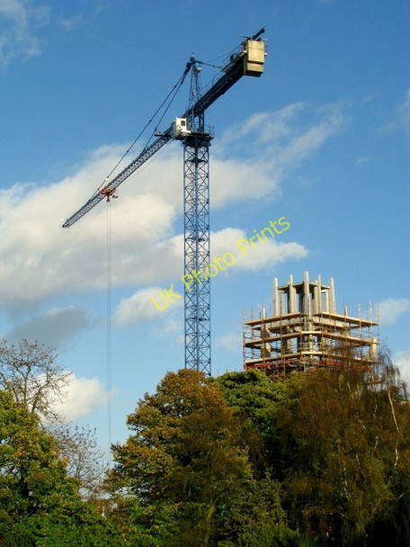 Photo 6"x4" Crane over Botanic Gardens Belfast c2008