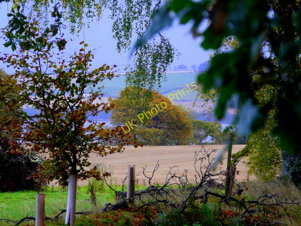 Photo 6"x4" Farmland above Ardullie Ardullie c2008