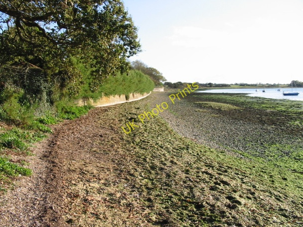 Photo 6"x4" Looking S along the shoreline from Dell Quay Dell Quay c2008