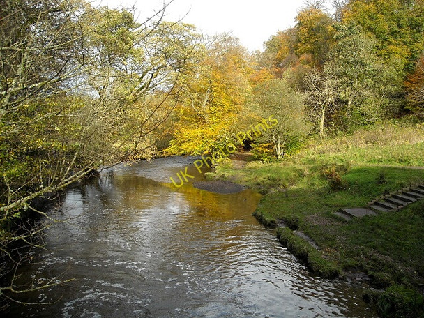 Photo 6"x4" Rotten Calder Below Horseshoe Falls East Kilbride\/NS6354 c2008